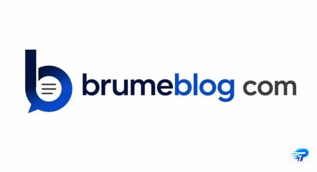 how-brumeblog-com-compares-to-niche-sites